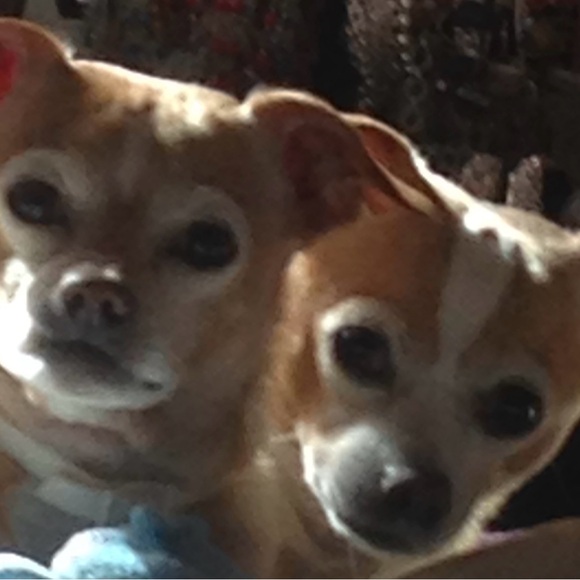 Meet your Posher, Tina - Picture 14 of 15